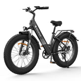 isinwheel M60 750W All-terrain Electric Bike